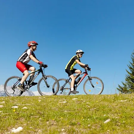 Lägenhetshotell Dachstein West Gmbh-kirchenwirt Russbach
