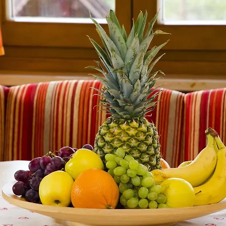 Lejlighedshotel Dachstein West Gmbh-kirchenwirt Russbach Russbach am Pass Gschütt